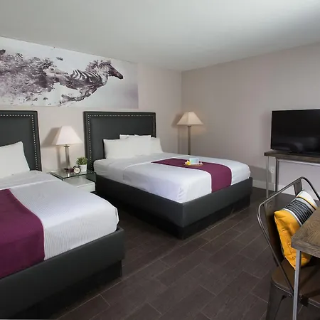Hotel Iris - Mission Valley-San Diego Zoo-Seaworld